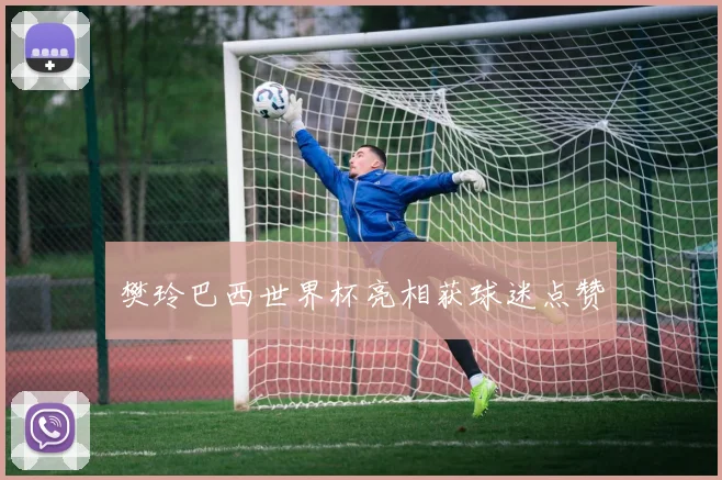樊玲巴西世界杯亮相获球迷点赞