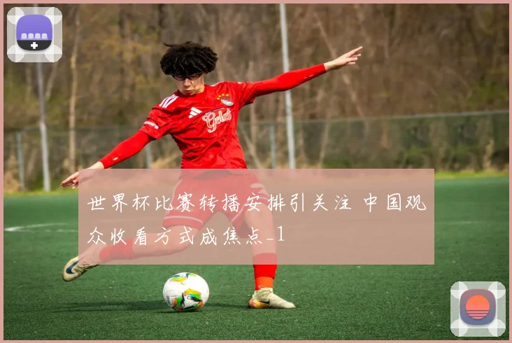 世界杯比赛转播安排引关注 中国观众收看方式成焦点_1