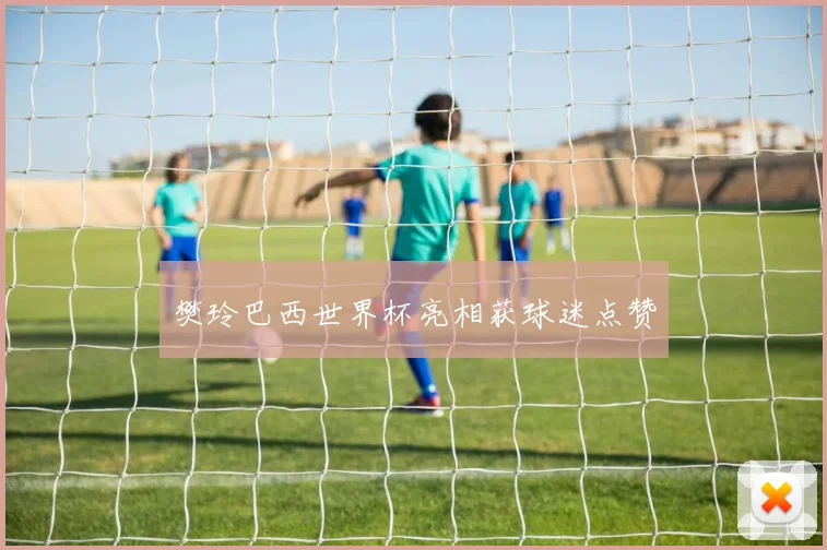 樊玲巴西世界杯亮相获球迷点赞