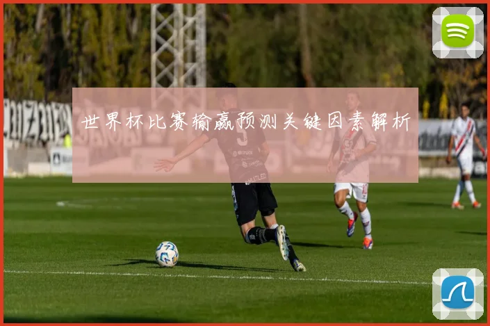 世界杯比赛输赢预测关键因素解析