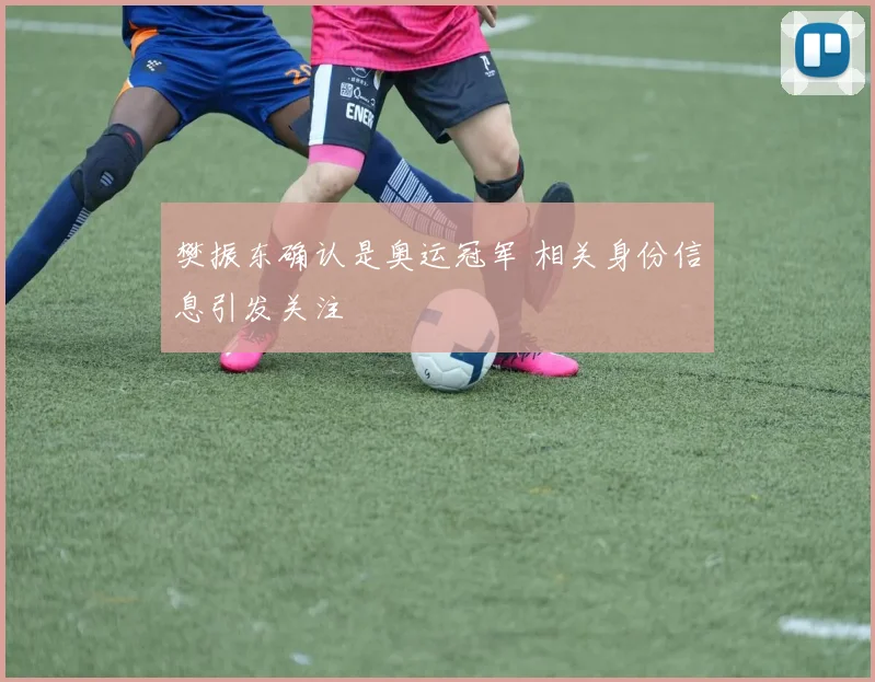樊振东确认是奥运冠军 相关身份信息引发关注