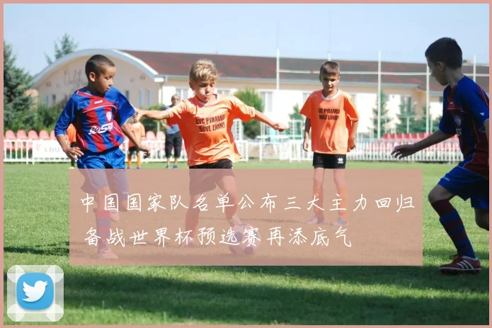 中国国家队名单公布三大主力回归 备战世界杯预选赛再添底气