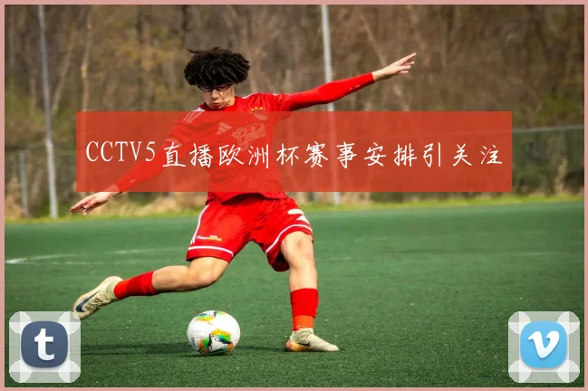 CCTV5直播欧洲杯赛事安排引关注