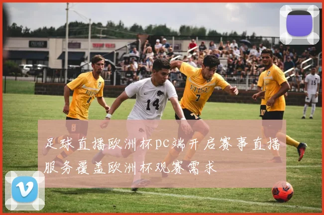 足球直播欧洲杯pc端开启赛事直播服务覆盖欧洲杯观赛需求
