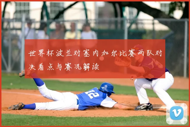 世界杯波兰对塞内加尔比赛两队对决看点与赛况解读