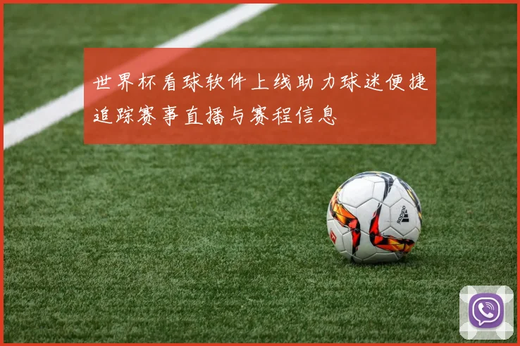 世界杯看球软件上线助力球迷便捷追踪赛事直播与赛程信息