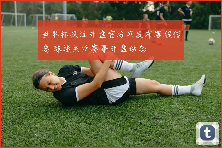 世界杯投注开盘官方网发布赛程信息 球迷关注赛事开盘动态